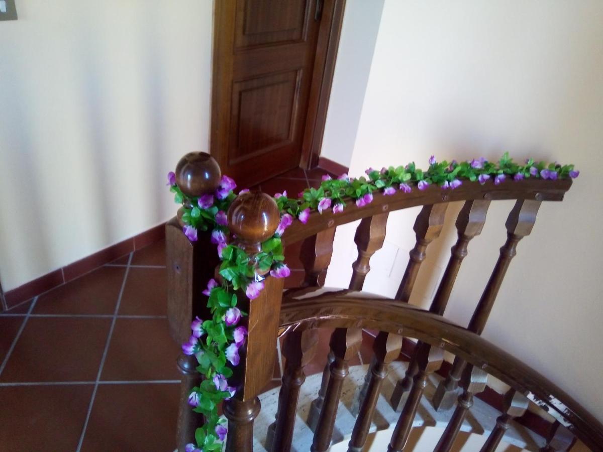 Casa Vacanze Butterfly Trabia Extérieur photo